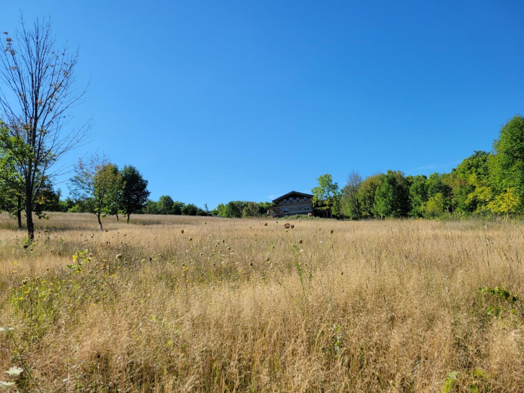 Firefly Creek Lodge Livonia Экстерьер фото
